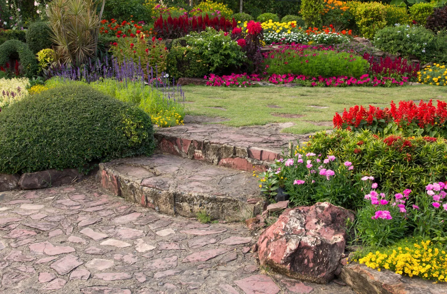 backyard Gardens
